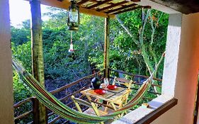 Conjunto Sol Roots